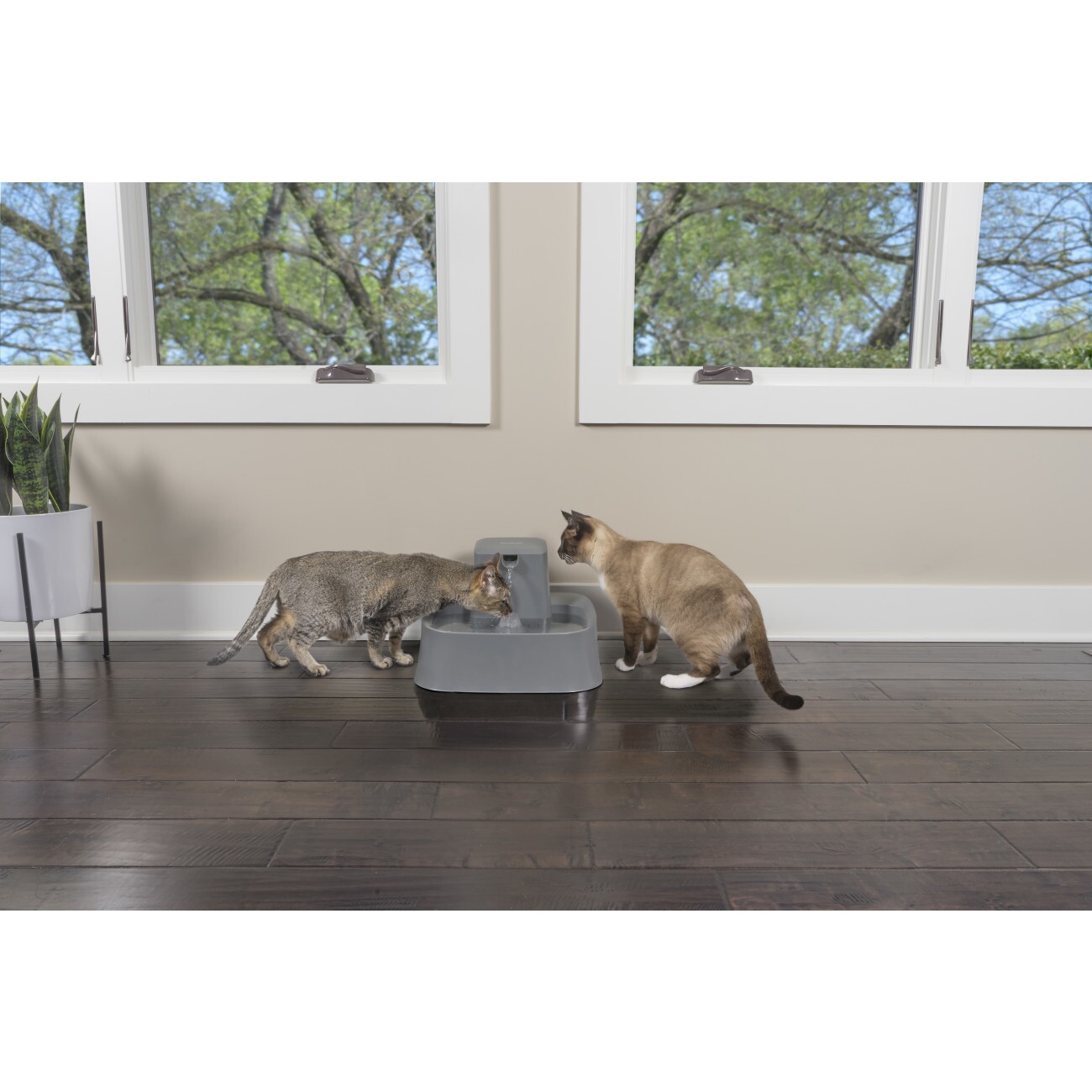 PetSafe Trinkbrunnen 7,5 l