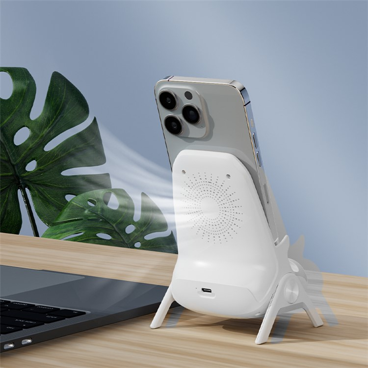 (15W) Magnetischer Wireless Charger Induktionsladegerät Ladestation mit Lightning / USB C / MIcro USB Adapter - Weiss
