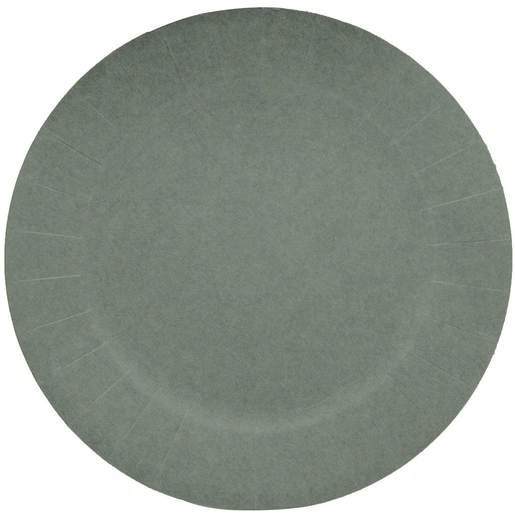 Lot de 10 assiettes carton gris D23cm