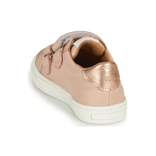 GBB - CARLOTA - Rose