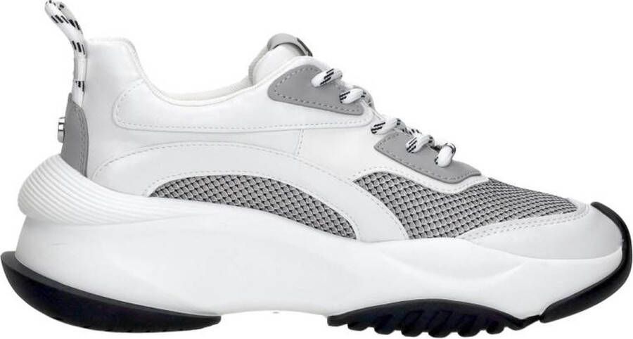 Steve Madden Belissimo Lage sneakers Dames Wit