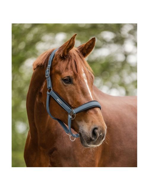 Waldhausen Halter Mesh Zilverblauw - Paardenhalster