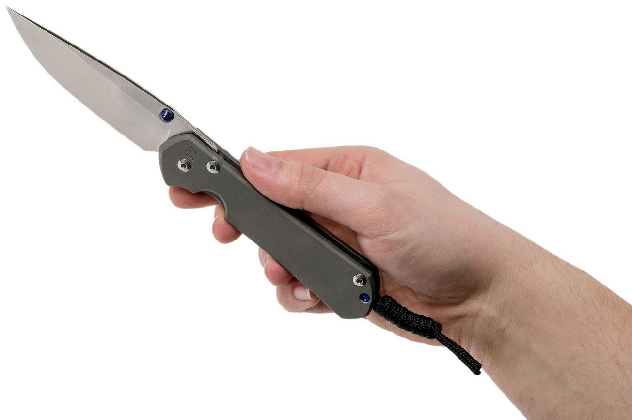 Chris Reeve Sebenza 31 Large Plain L31-1000 zakmes