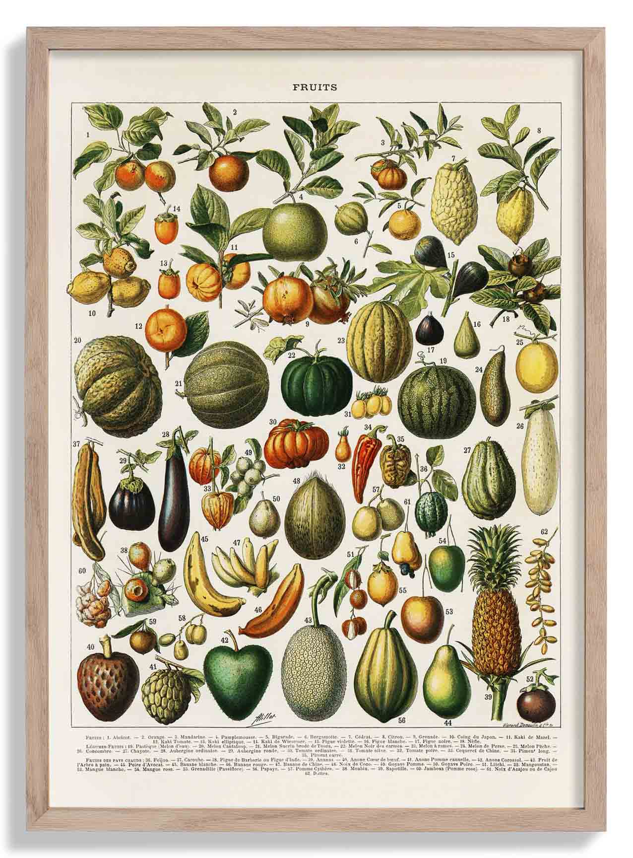 Früchte und Hülsenfrüchte antik von Adolphe Millot