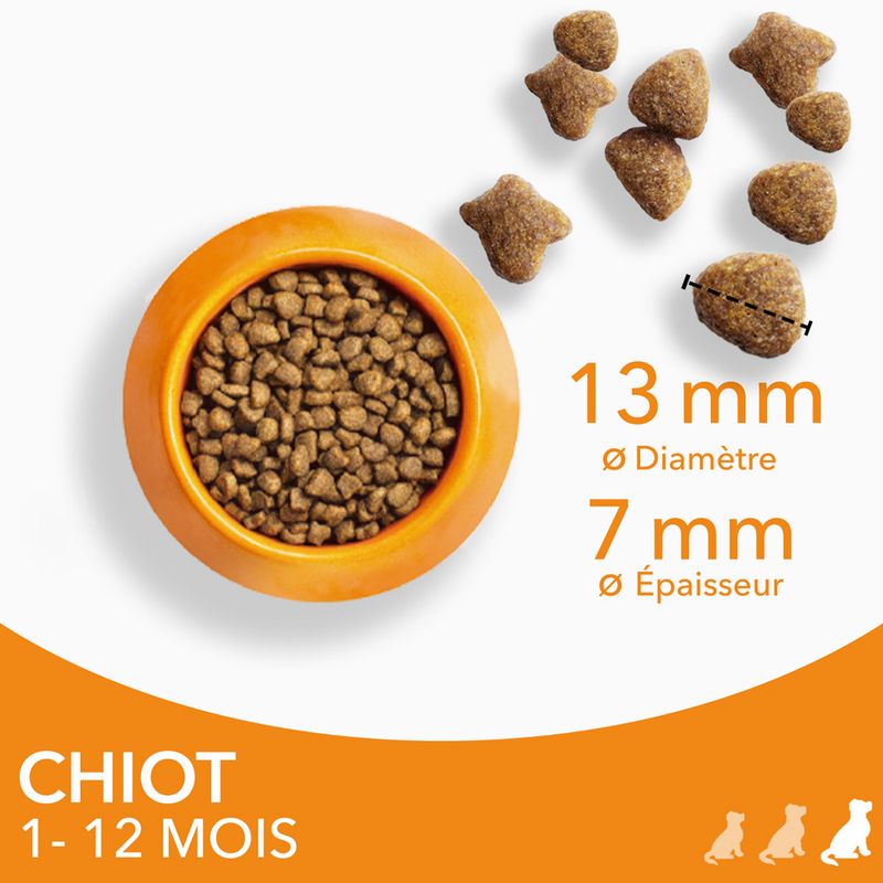 IAMS Advanced Nutrition Puppy Large poulet