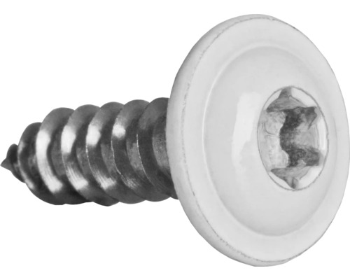 Plaatschroef met kraag, I-ster uitvoering, 4,8 x 19 mm, roestvrij staal A2, wit, 100 stuks