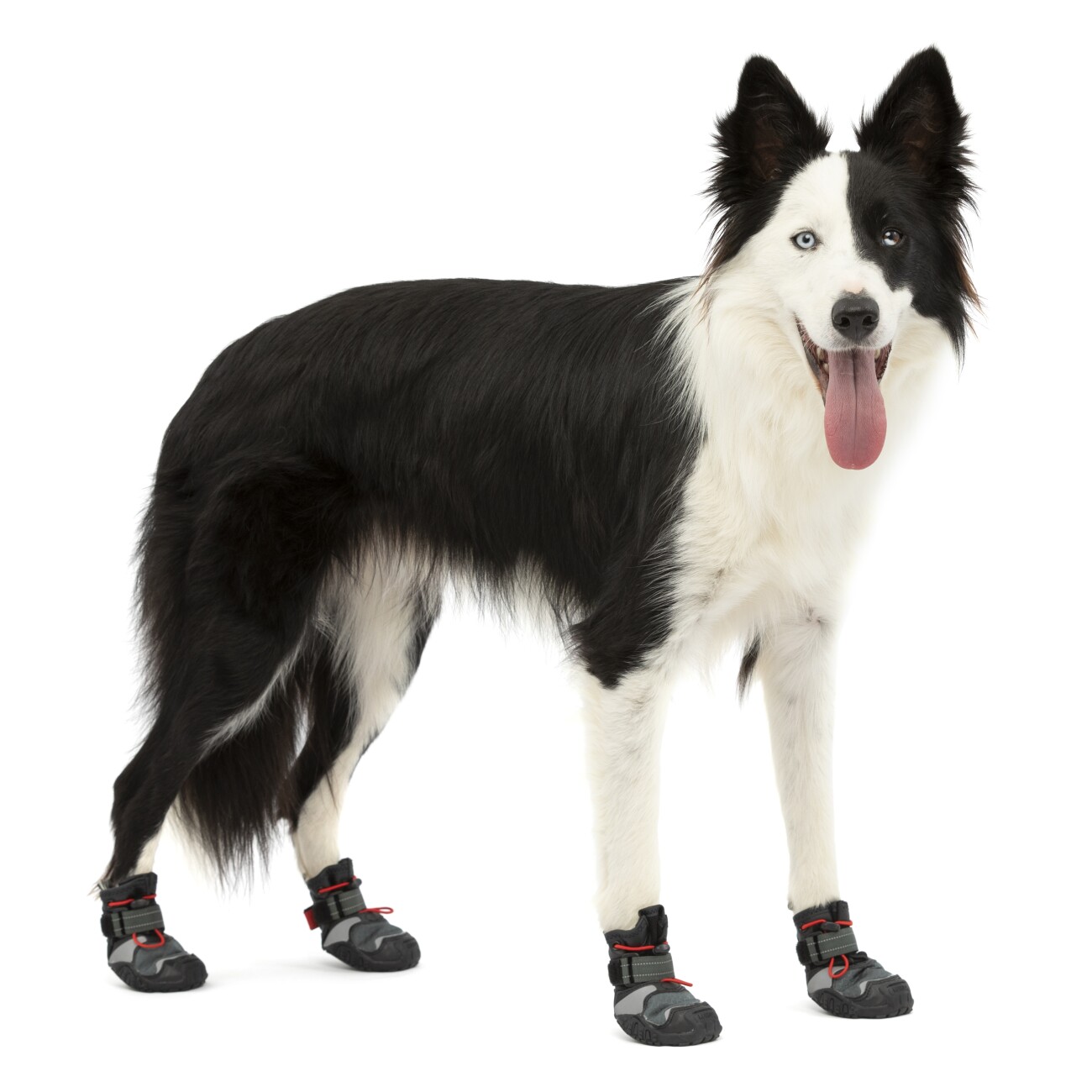 Kurgo Hundeschuhe Blaze Cross- S