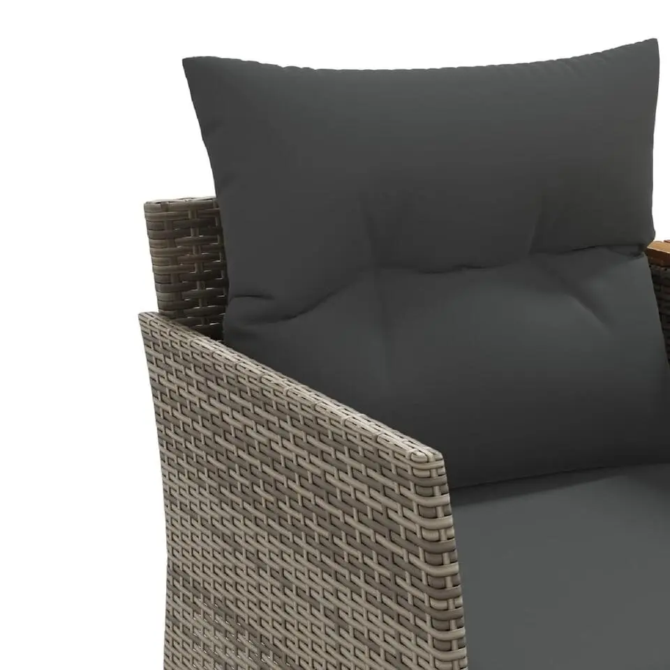vidaXL - Tuinbank - Grijs - Poly rattan