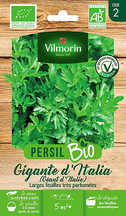 Graines de Persil géant Vilmorin Italie Bio
