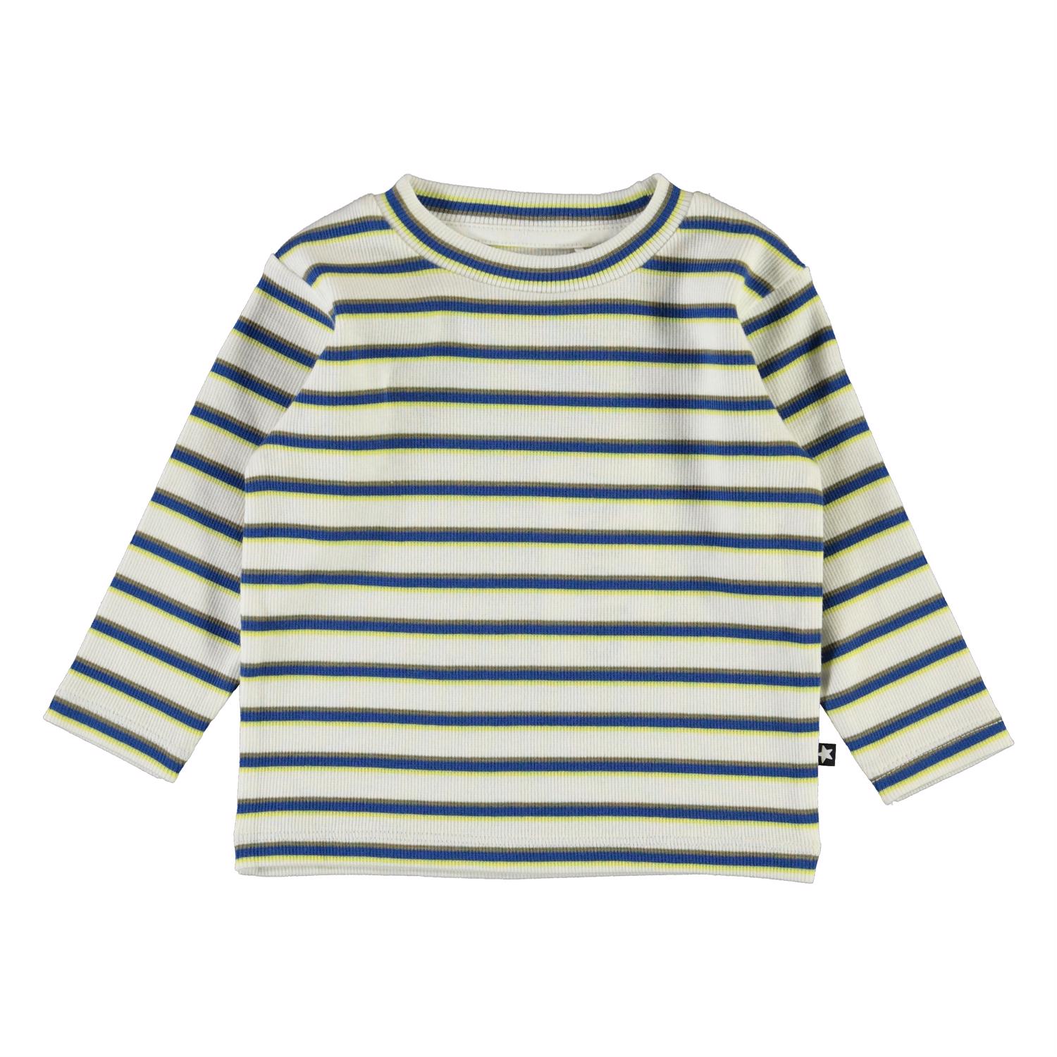 Elvo - 4 Colour Stripe