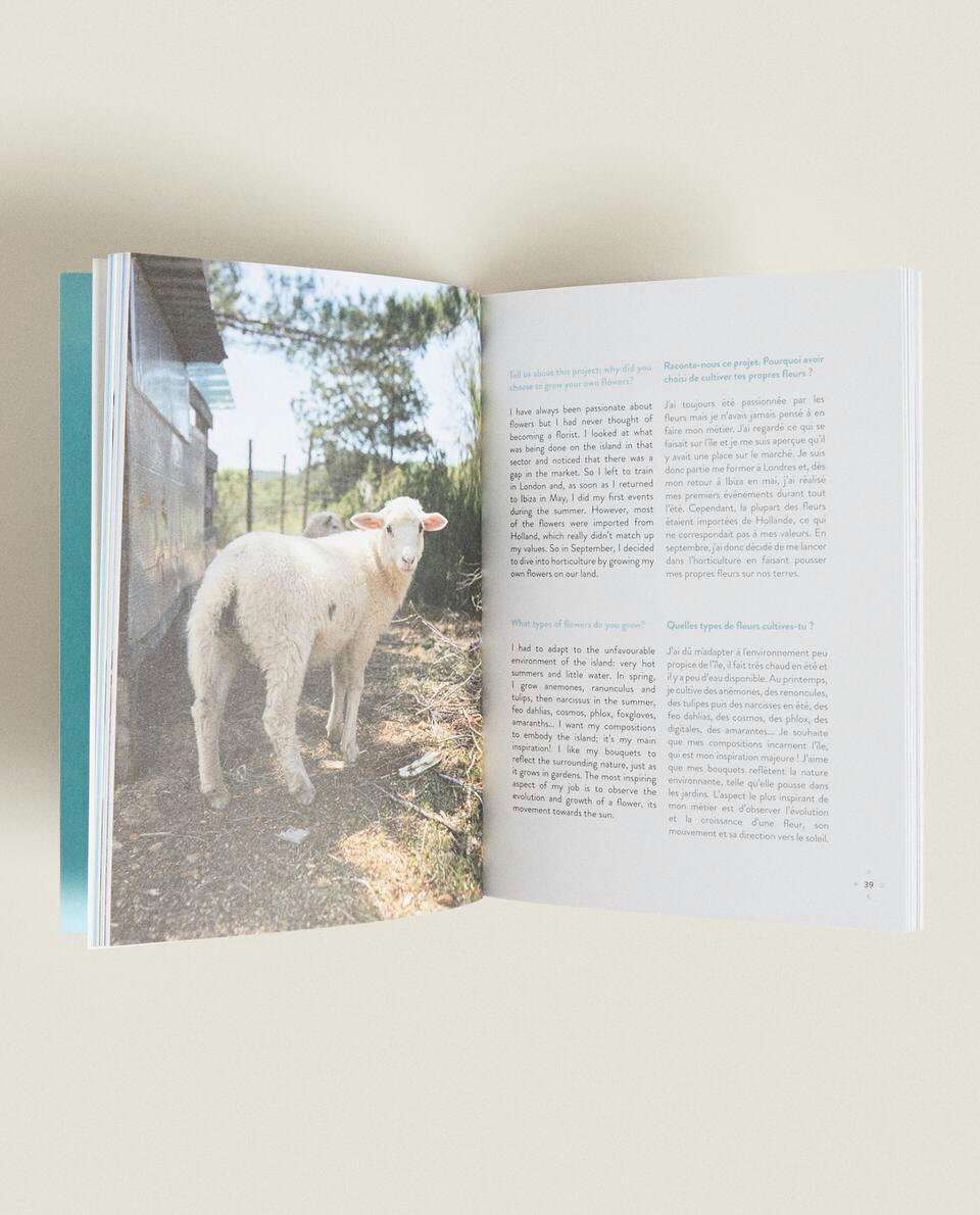 UMA SEMANA NO EXTERIOR NAS ILHAS BALEARES (LIVRO)