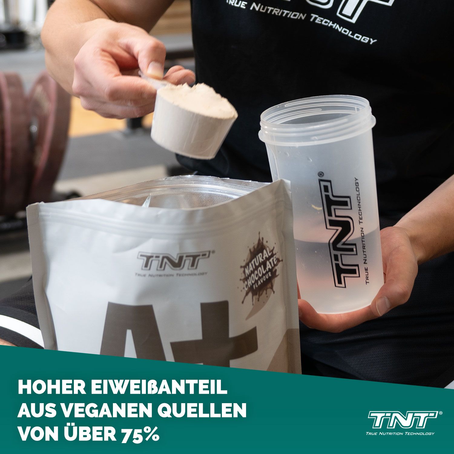 TNT A+ Protein