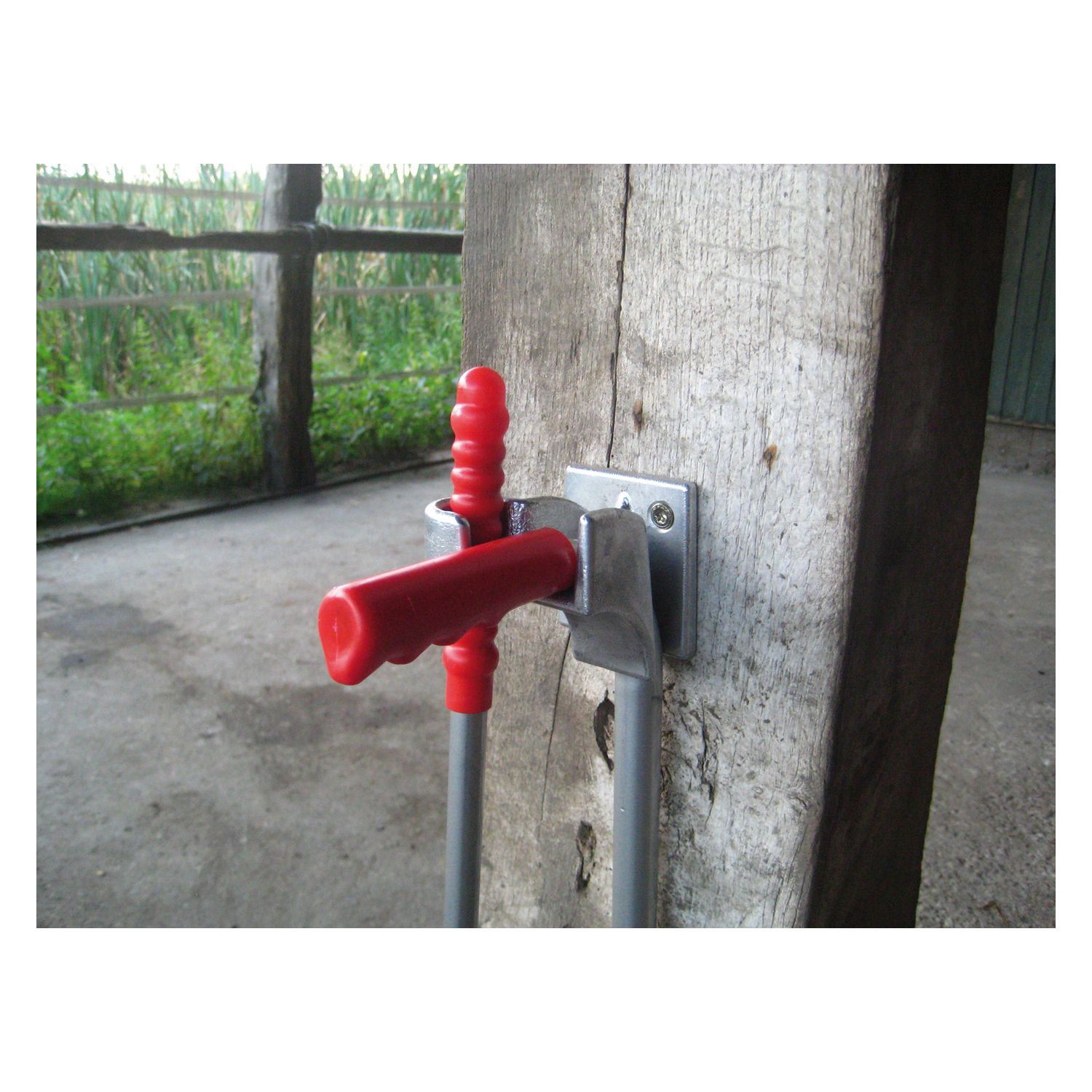 WALDHAUSEN Mistboy-Halter