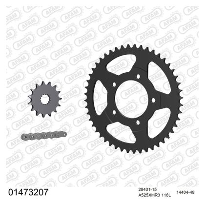 Kit chaine AFAM 525 Type Acier