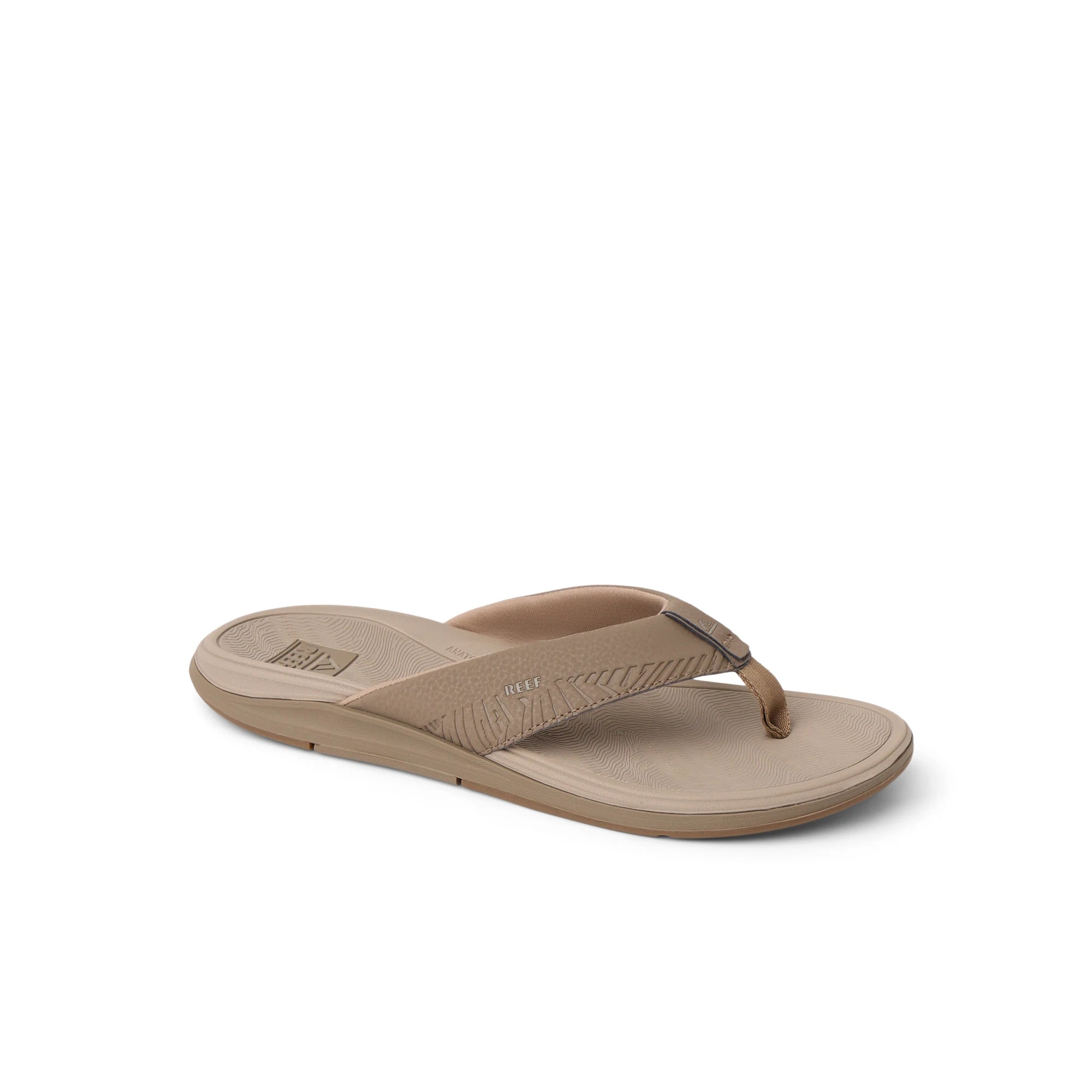 Offshore Fossil Tan