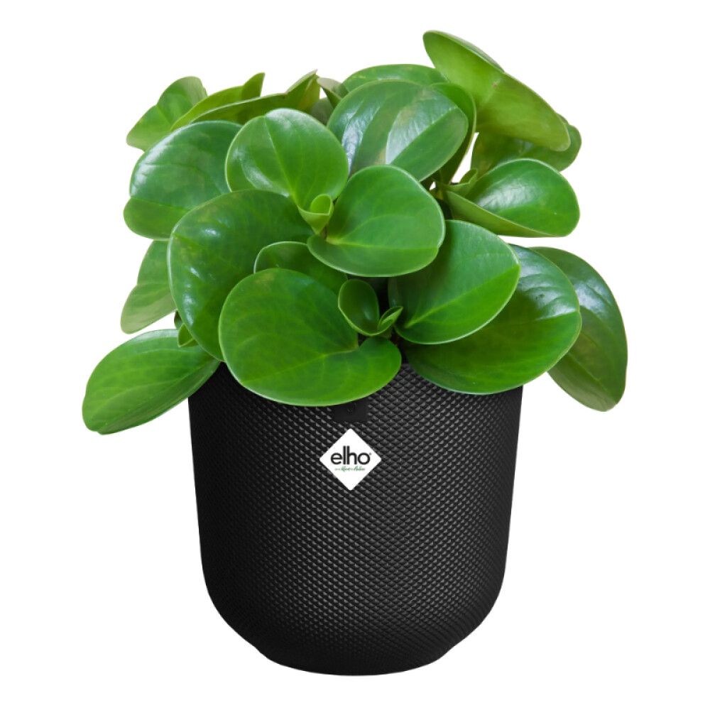 PLASTKRUKKE ELHO JAZZ Ø26CM SVART