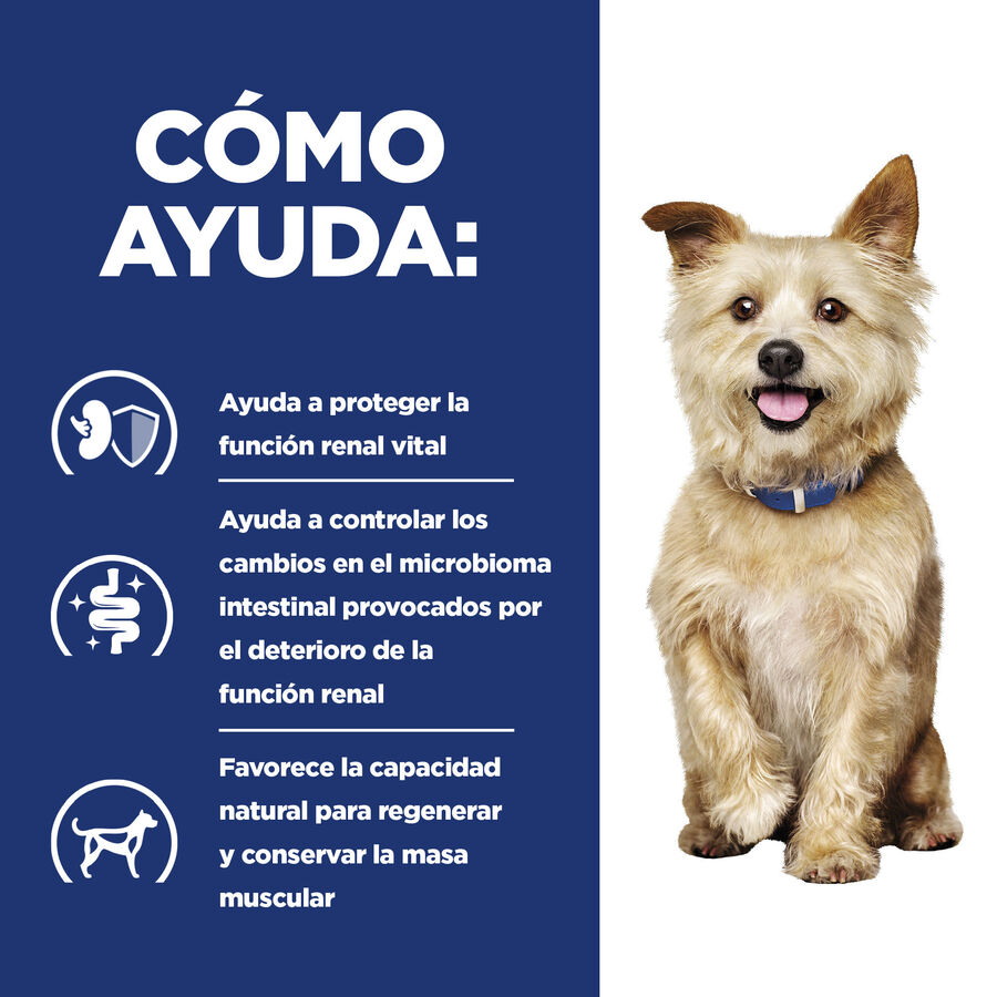 Hill's Prescription Diet Kidney Care k/d Ensopado de Frango e Vegetais em Lata para Cães