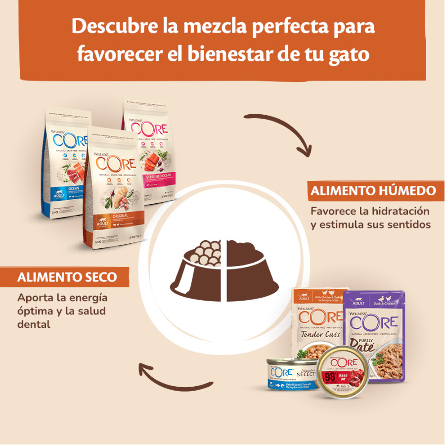 79g Wellness Core Carne Pedaçosa e Frango em Lata para Gatos