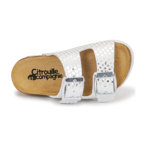 Citrouille et Compagnie - MISTINGUETTE - Blanc étoile
