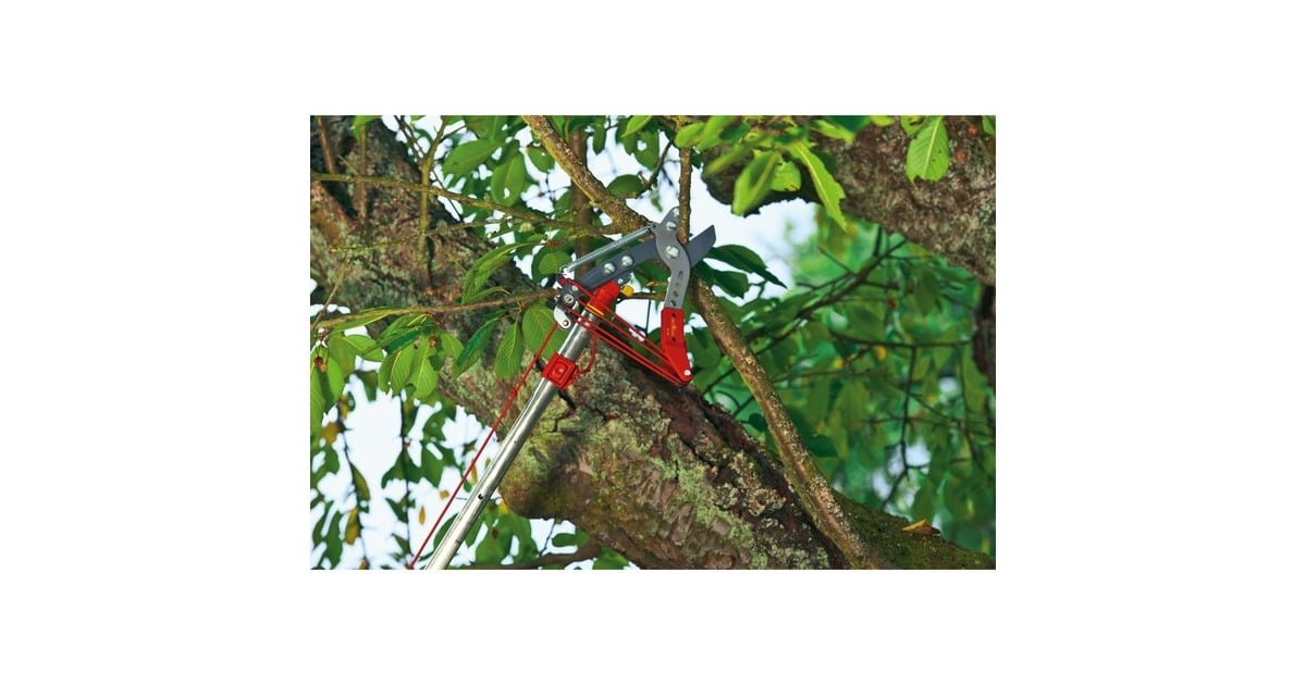 WOLF-Gartenmulti-star boomschaar Vario RC-VM  (Rood)
