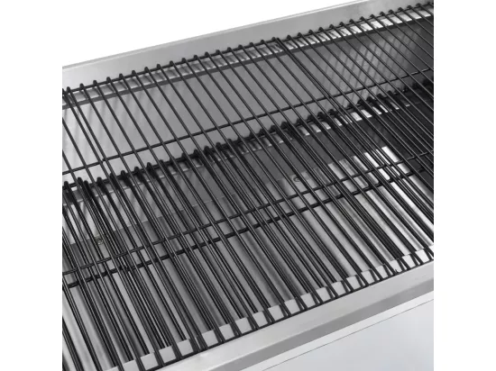 Rôtissoire pour barbecue électrique Acier inoxydable