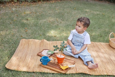 Plan Toys Hagesett