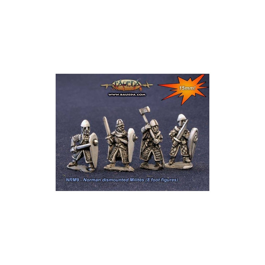 dismounted Norman milites