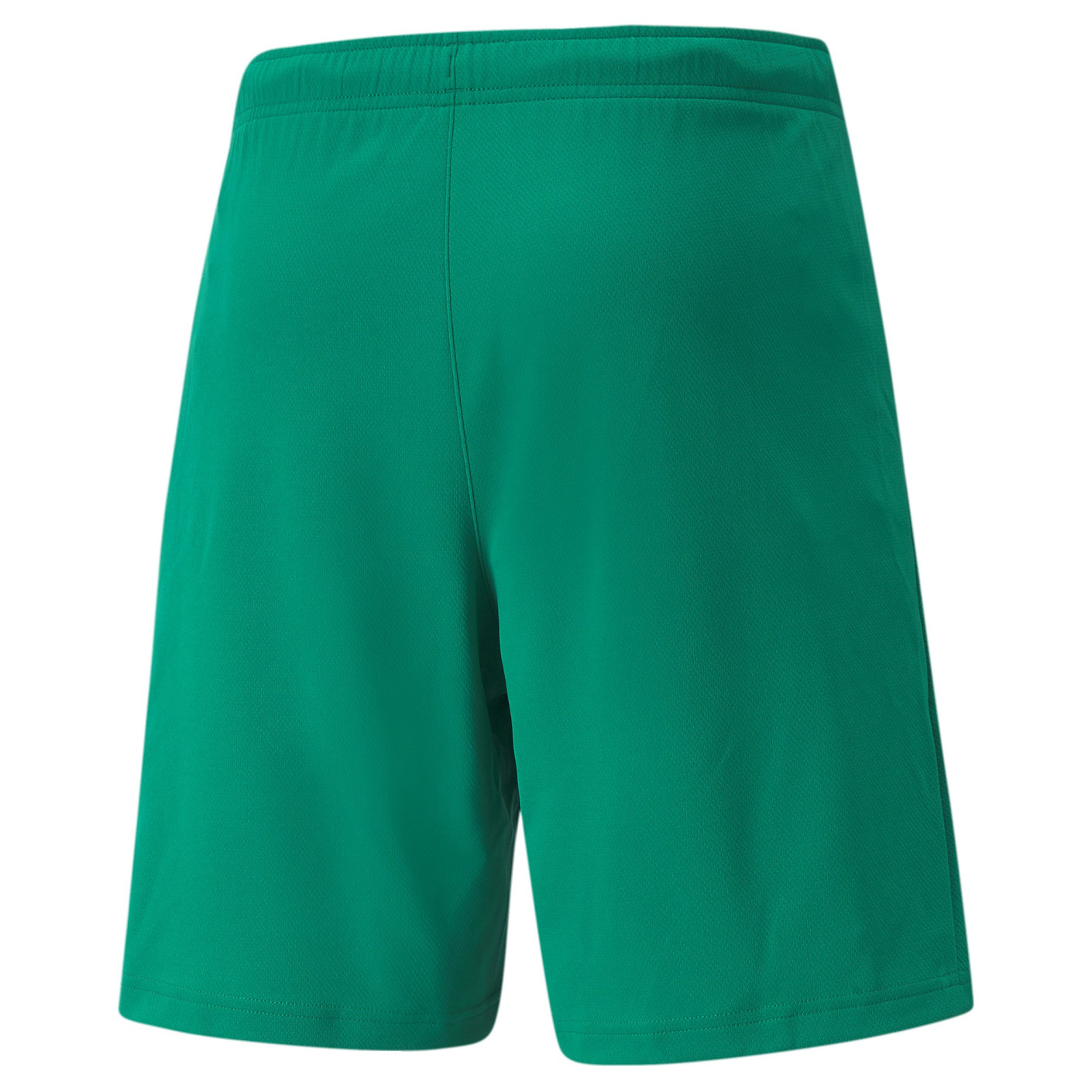 PUMA teamRISE Voetbalbroekje Groen
