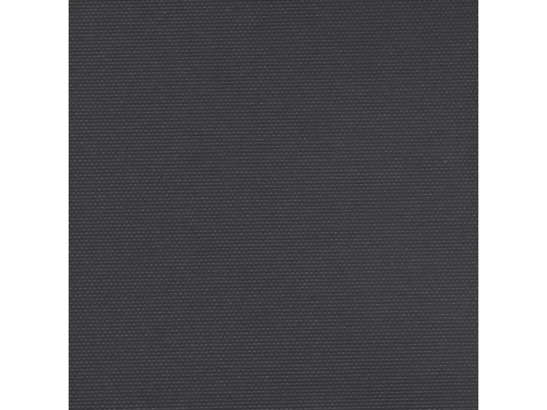 Auvent latéral rétractable noir 220x600 cm