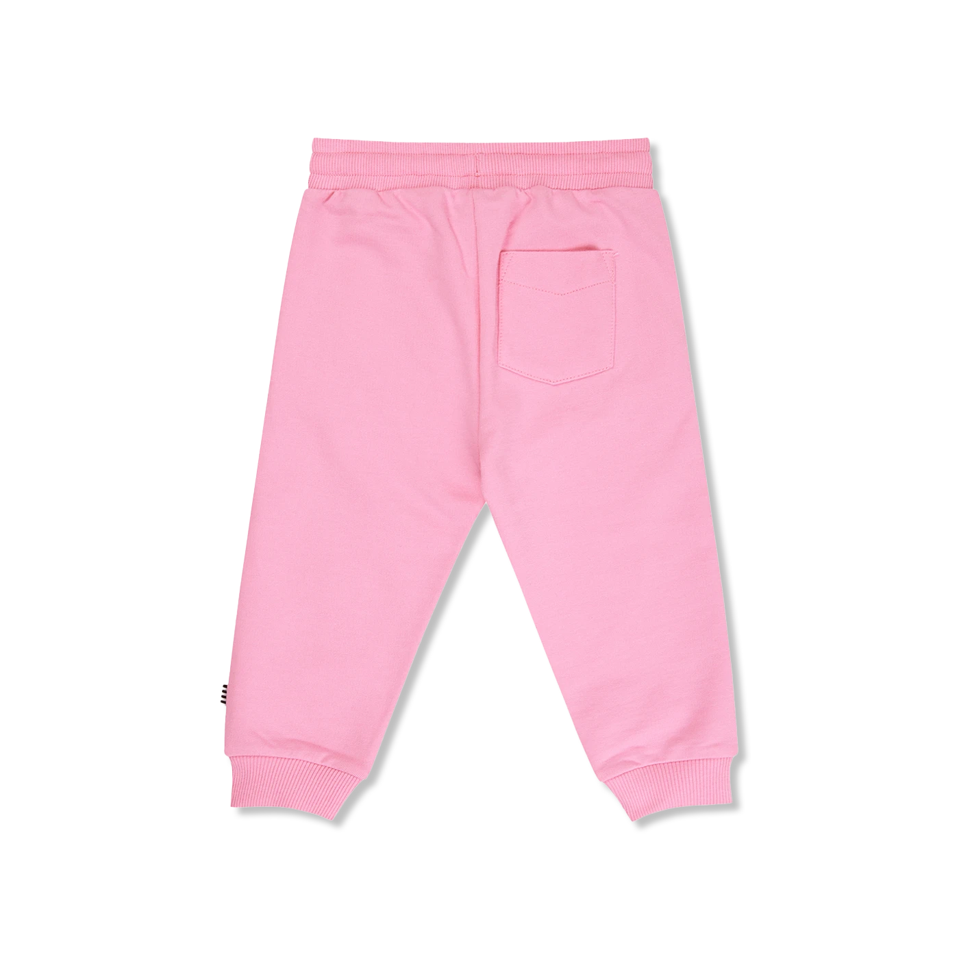 Pavo sweatpants