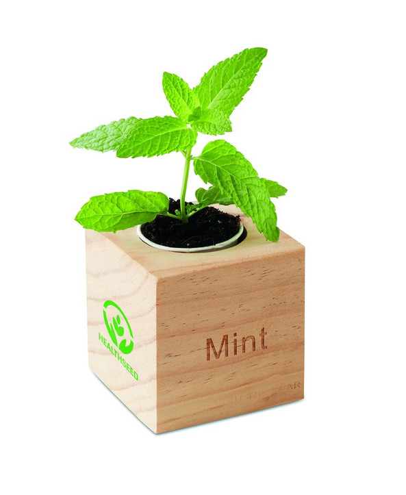 GiftRetail MO9337 - MENTA Pot en bois avec graine Menthe