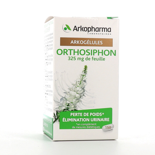 Orthosiphon