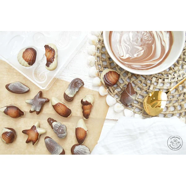Kit chocolats de Pâques : casserole bain marie + thermosonde + moule p