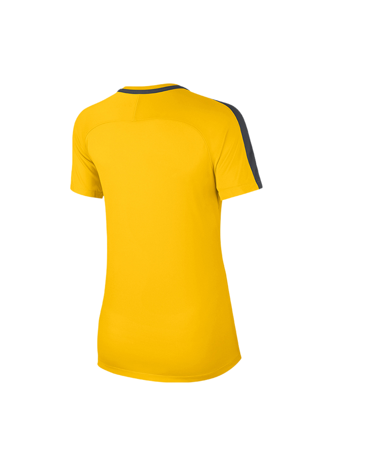 Nike Academy 18 Football T-Shirt Damen F719