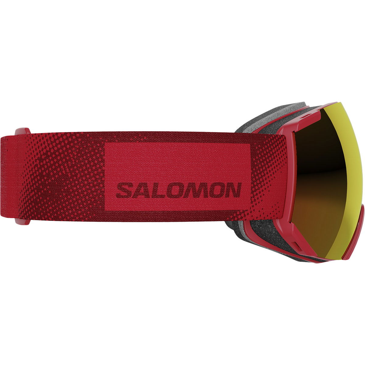 Salomon Radium ML Skibriller