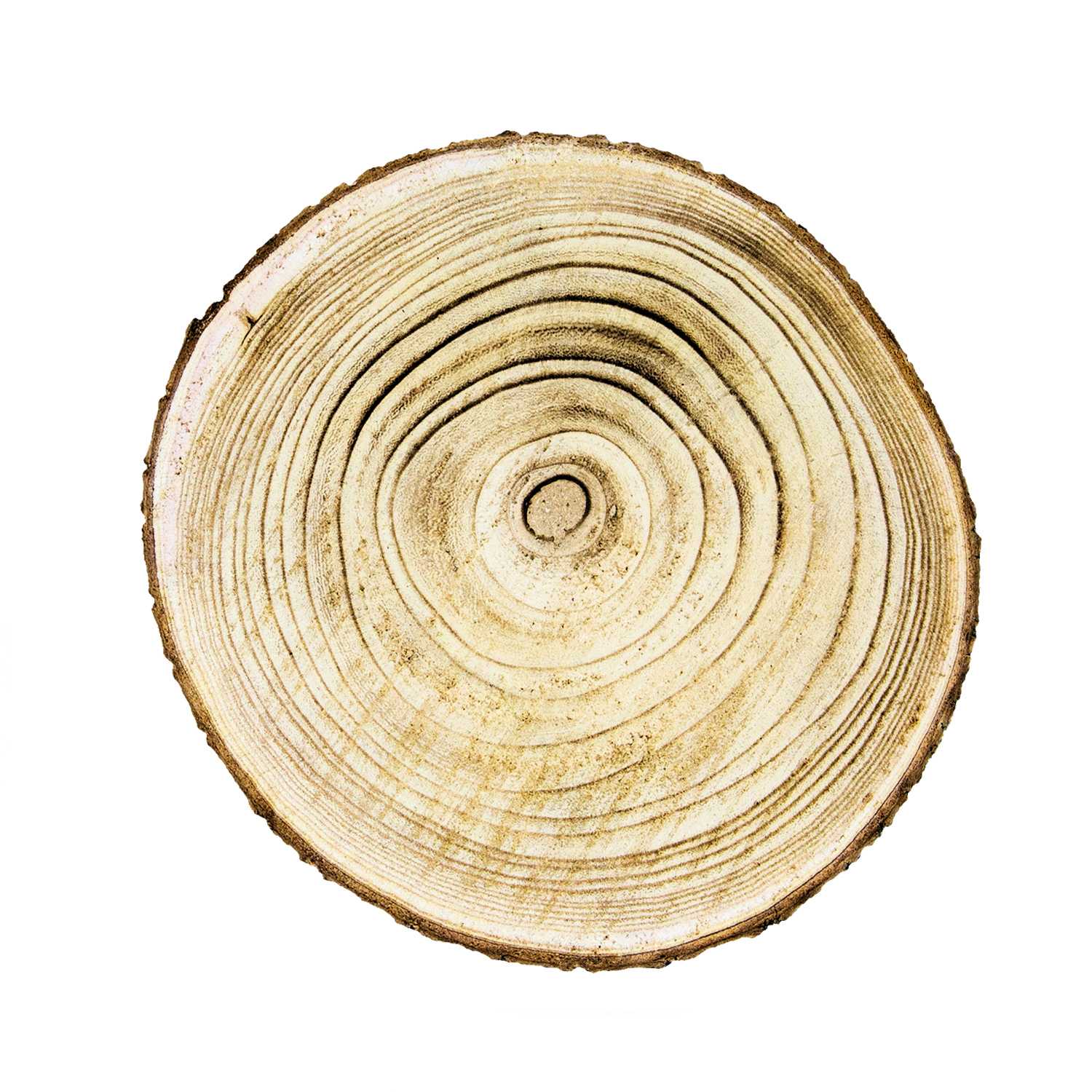 O'Canny Deko Baumscheibe aus Echtholz Ø 24 cm