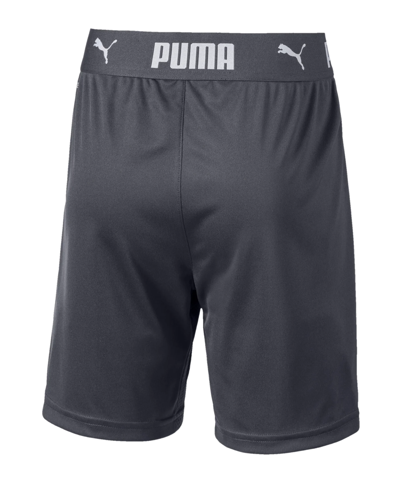 PUMA ftbINXT Short Kids Grau F02