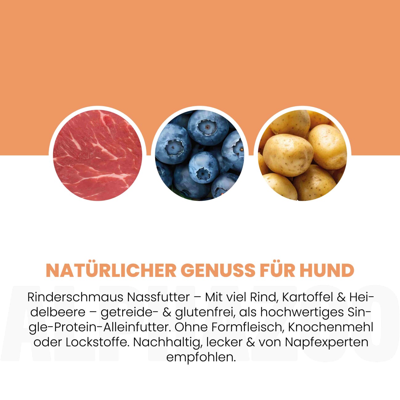 ALPHAZOO Monoprotein Rind 6 x 400g, Nassfutter Rind für Hunde