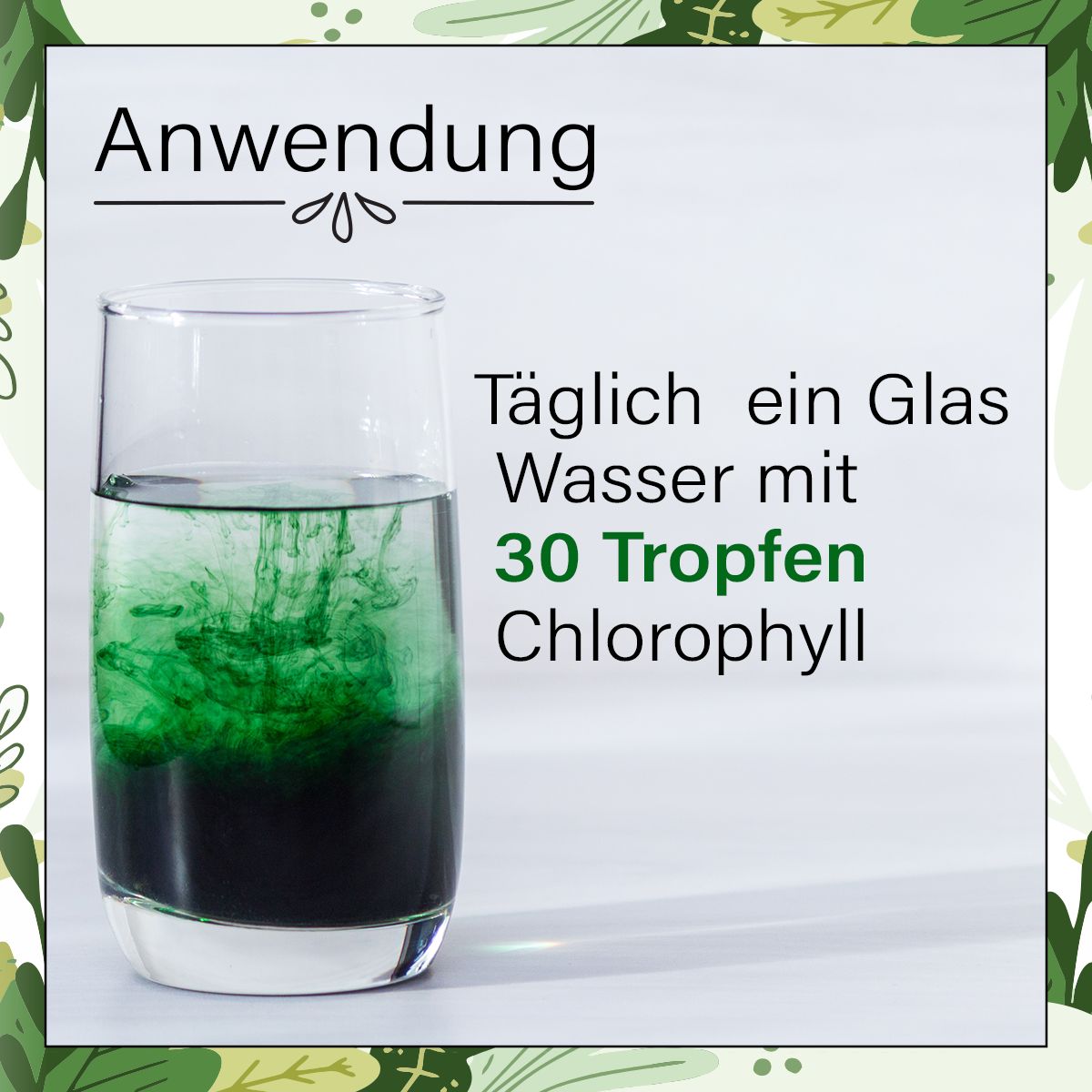 Enolenia® | Chlorophyll Tropfen | verdauungsfördernd