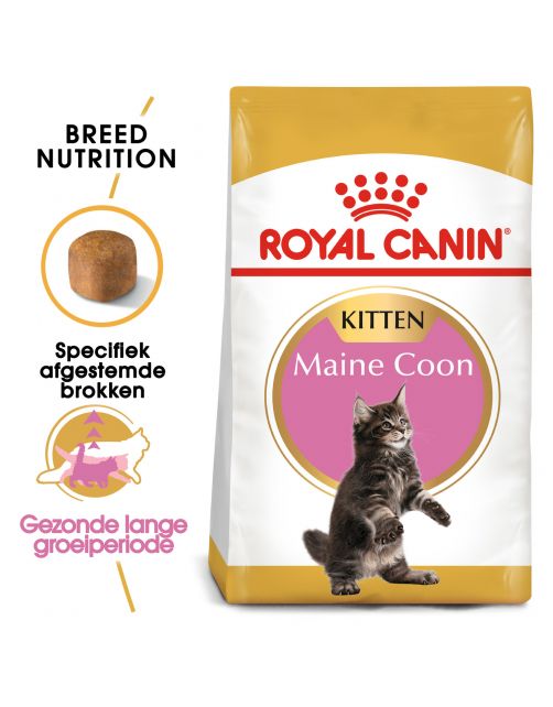 Royal Canin Maine Coon Kitten - Kitten-Kattenvoer