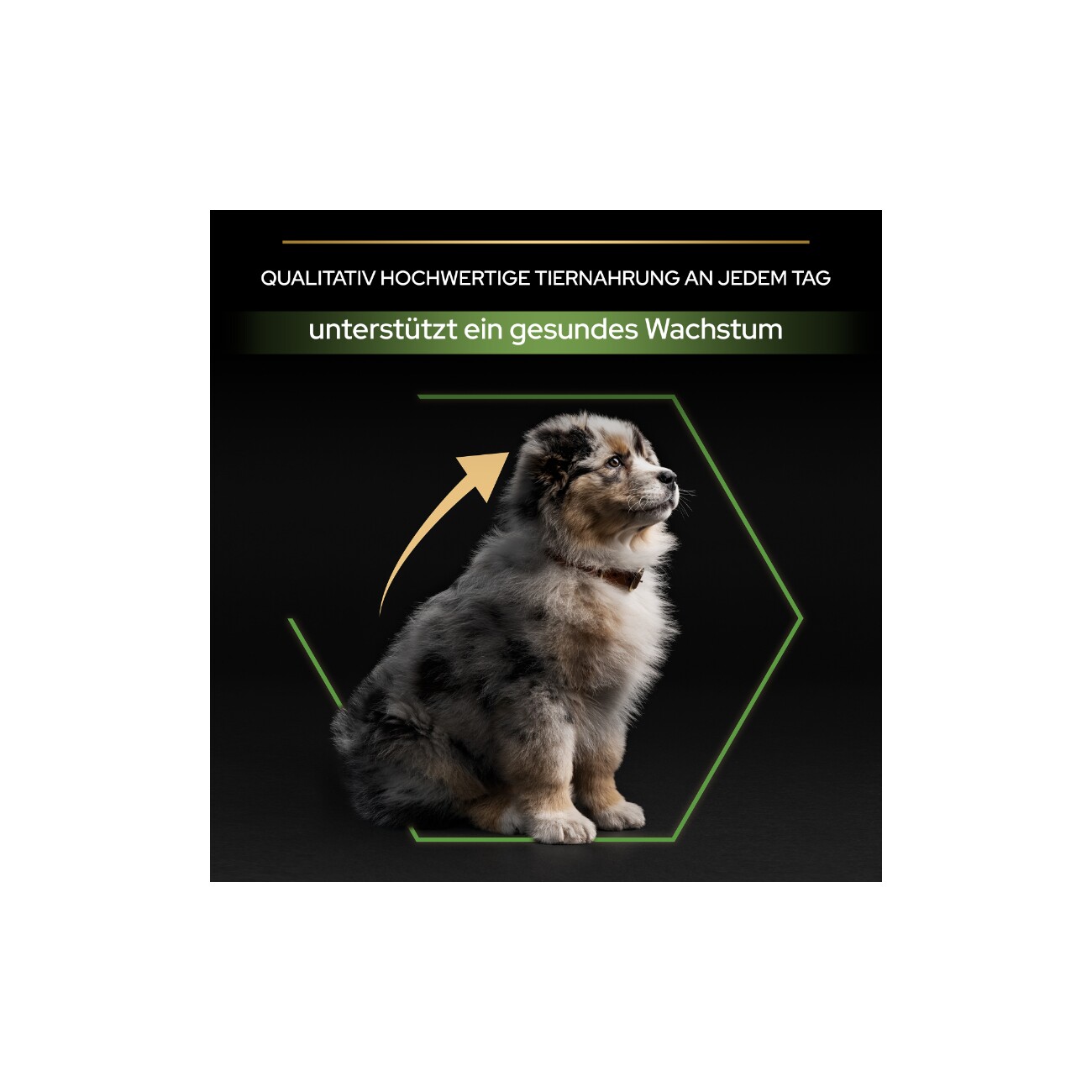 PRO PLAN Puppy Medium Healthy Start Huhn 3 kg