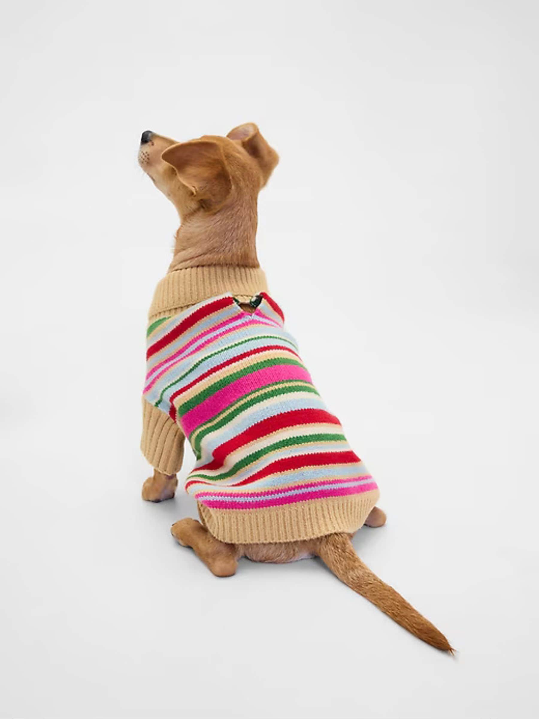Gap Pet CashSoft Jumper