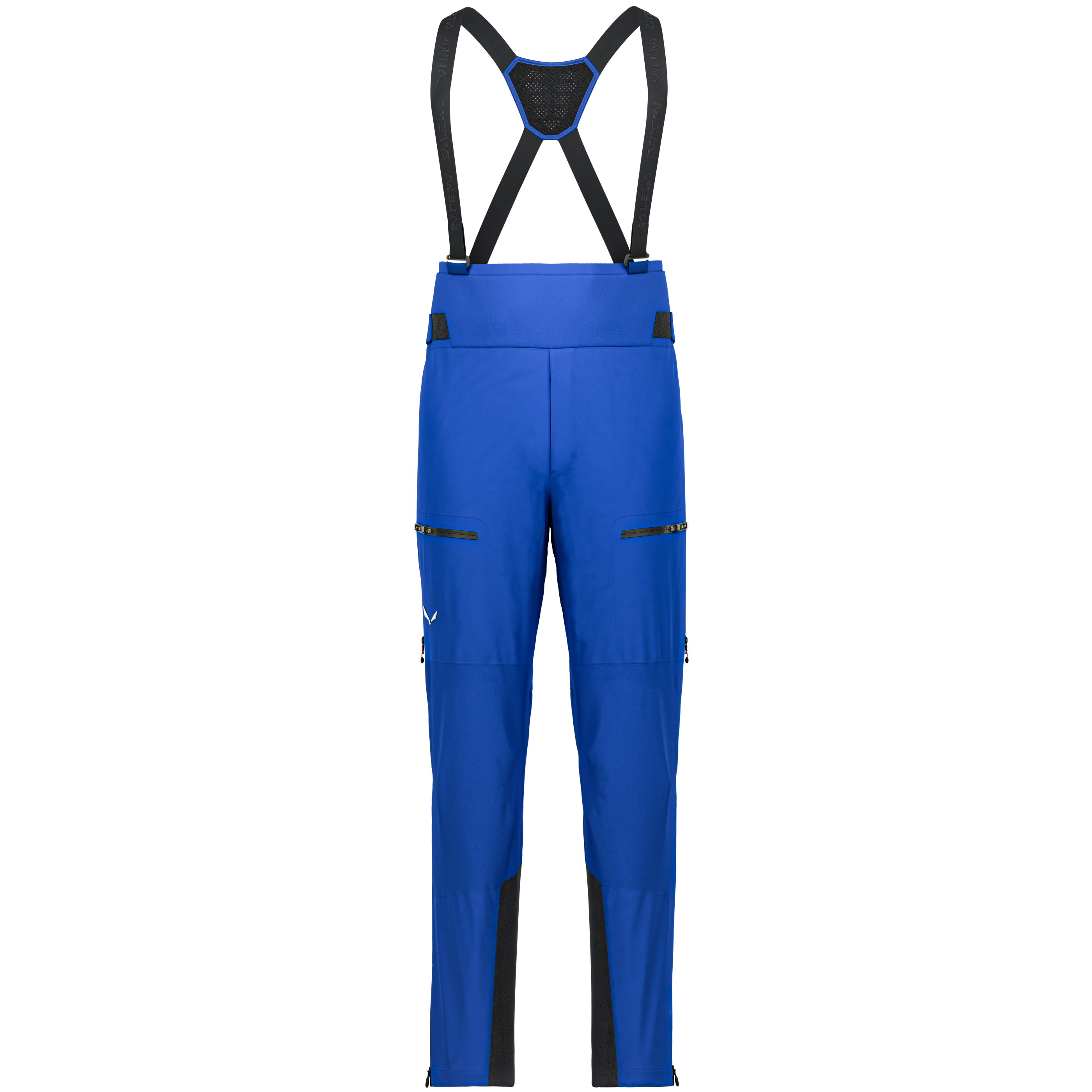 Ortles Gore-Tex® Pro Hose Herren