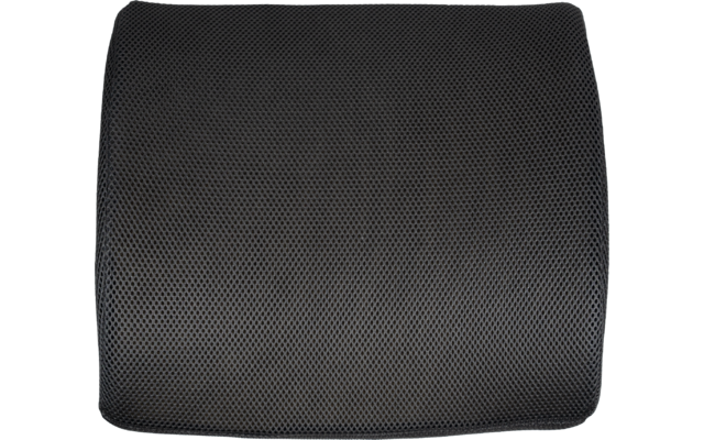 Berger ergonomisches Rückenkissen