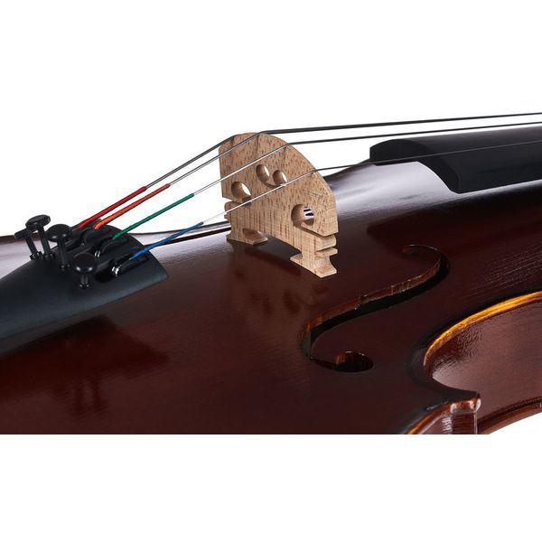 Gewa Allegro VA1 Viola Set 15