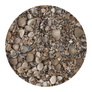 Stonewish Schelpen 8-16 mm - bigbag á 1000 kg
