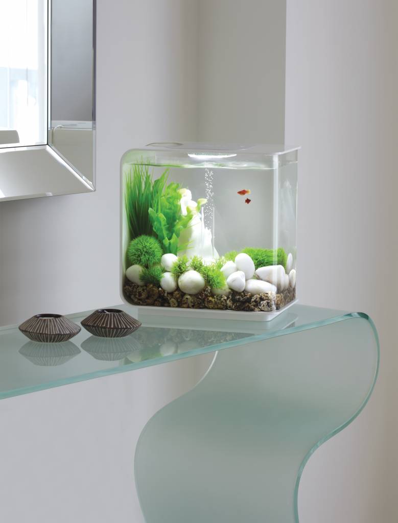 biOrb Mosballen | Aquariumdecoratie