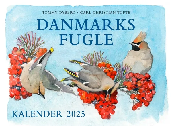 Danmarks fugle - kalender 2025 | Carl Christian Tofte;Tommy Dybbro