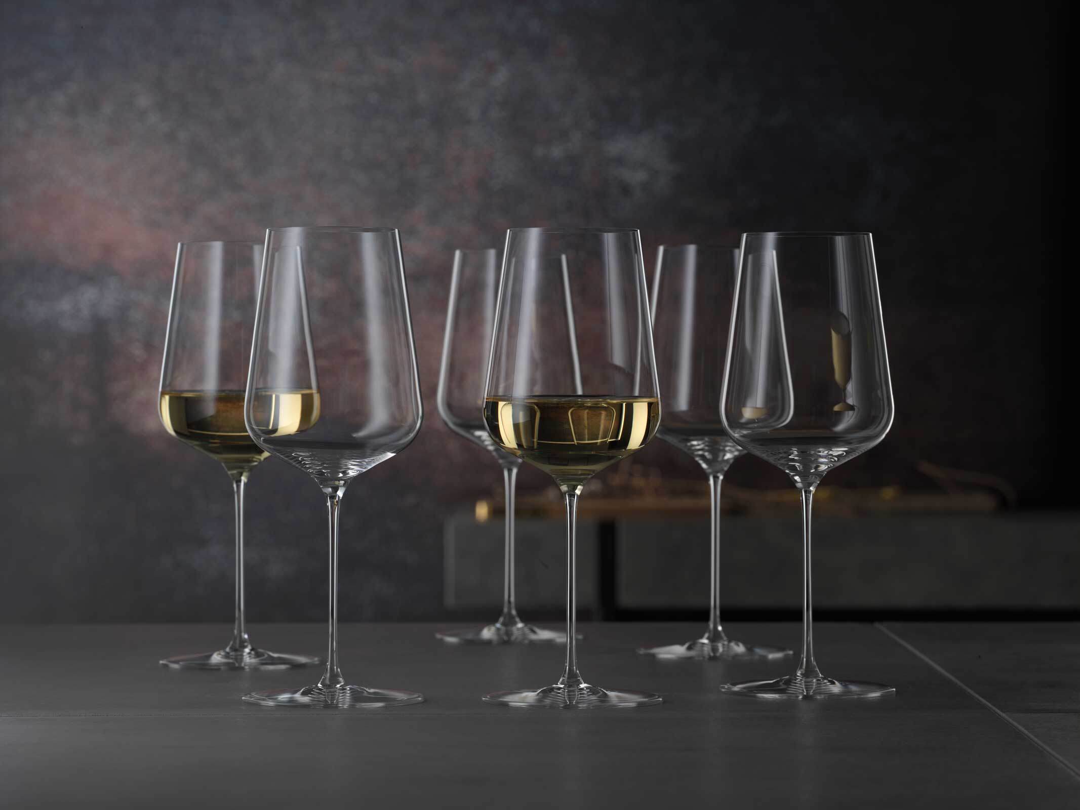 Spiegelau Universalgläser Definition 550 ml 2er Set