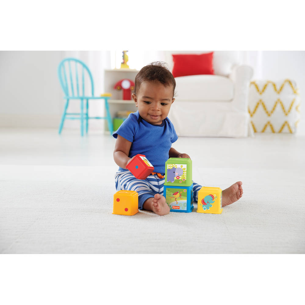 Fisher-Price Stapel & Ontdek blokken